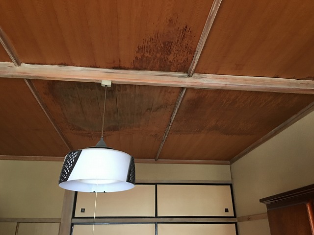 雨漏りによる天井シミ